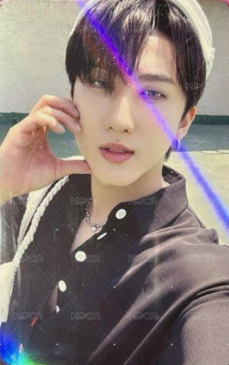 MAXIDENT wm 特典卡  正面