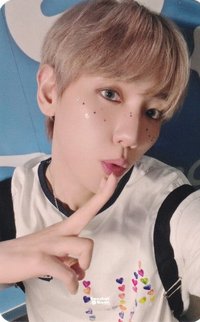 bolo5 jjmuze 簽售卡 