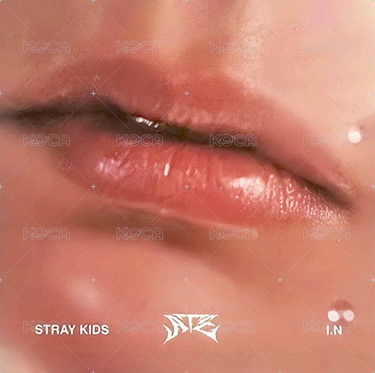 ATE 專輯卡 Accordion ver. 唇卡 正面