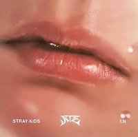 ATE 專輯卡 Accordion ver. 唇卡