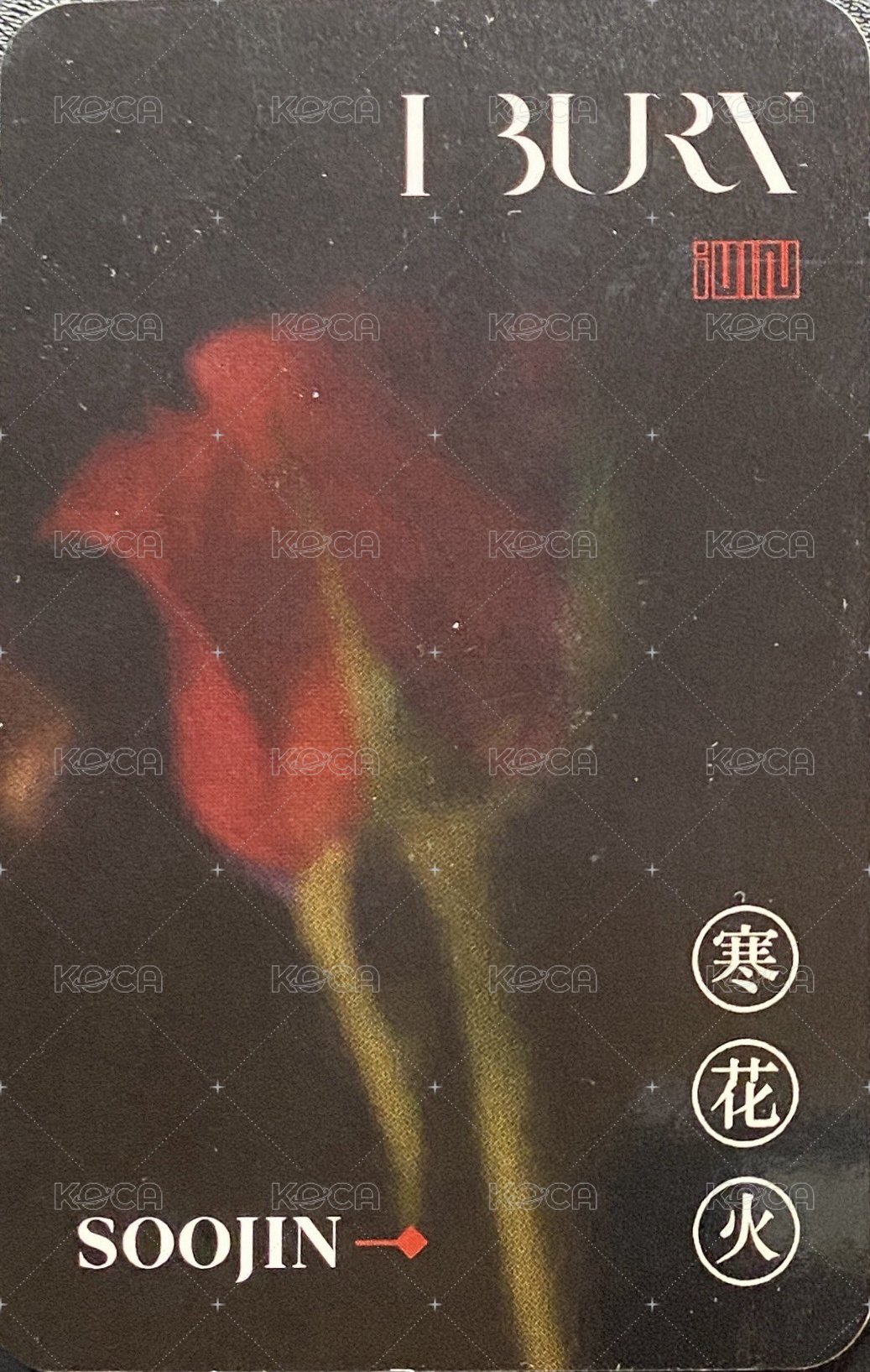 火花 mmt 簽售卡 蝴蝶珍 背面