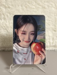 蘋果wink台特中背瑞