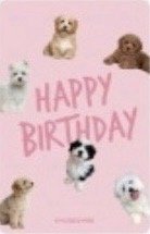 25 申惟 生日禮 周邊卡  背面