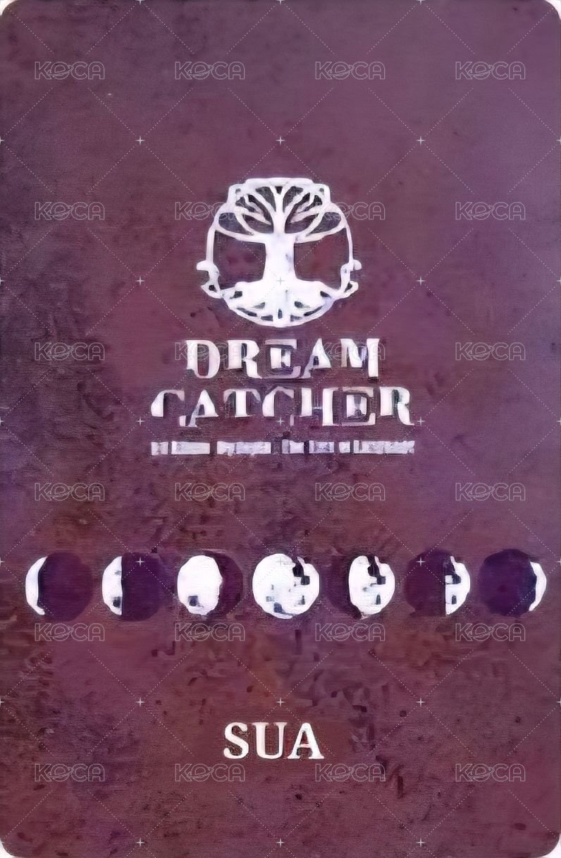 正規一輯 專輯卡  背面