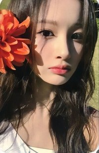 expérgo sw 預售 特典卡 