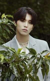 兩週年寫真 周邊卡 