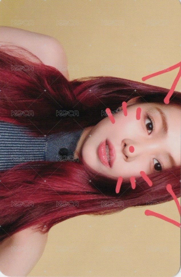 GWBG ms 1.0 幸運卡 寵物鏡頭 正面