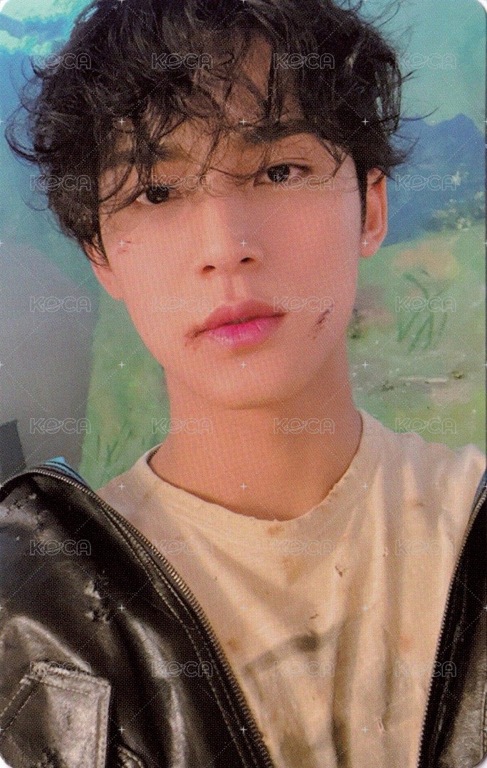 正四 專輯卡 正規四｜WVS電子專ver. 正面