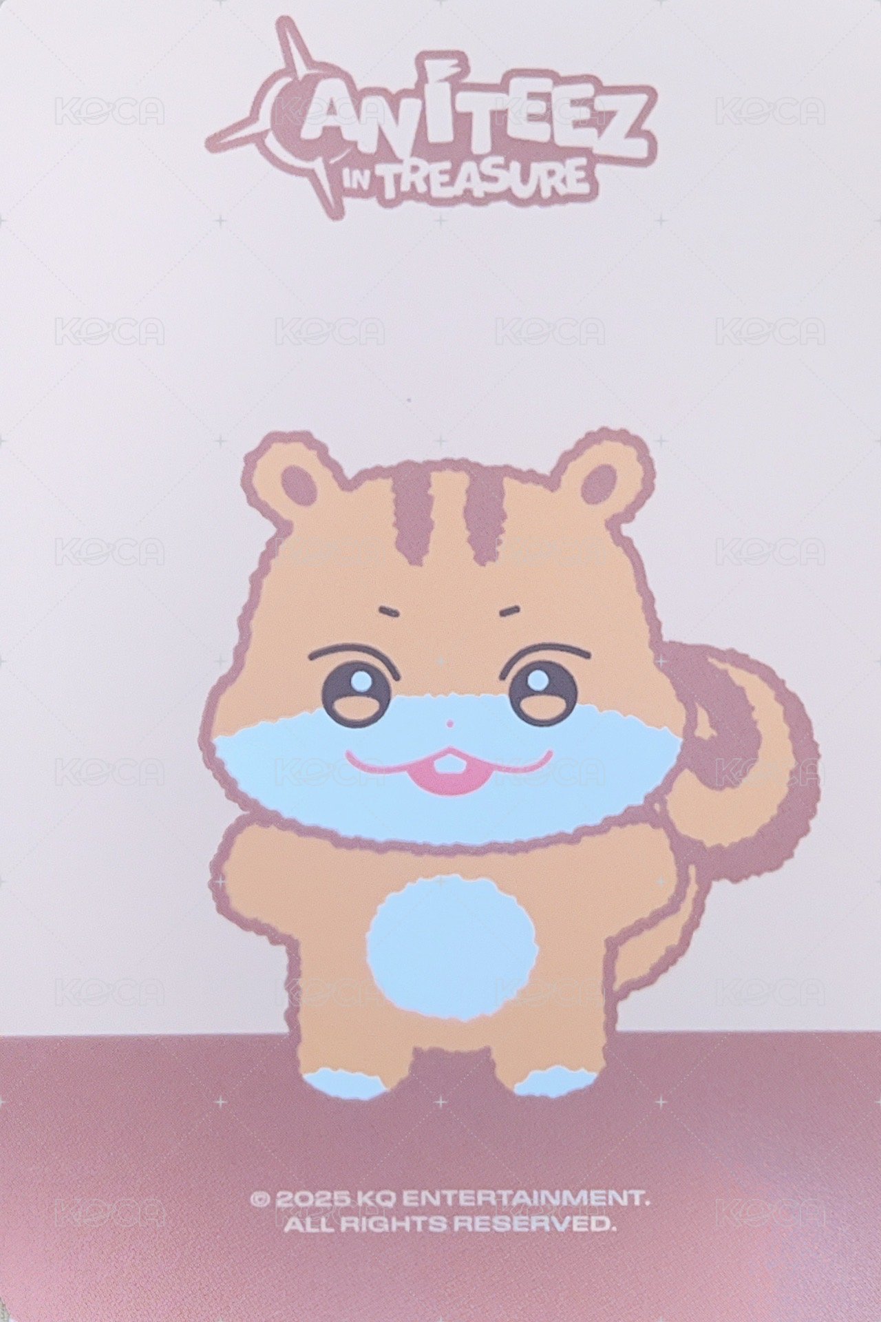 ANITEEZ IN TREASURE 周邊卡 MINI PLUSH 背面