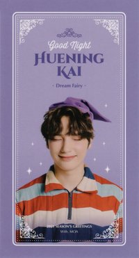 21年曆 wvs 周邊卡 FAIRY PROFILE卡