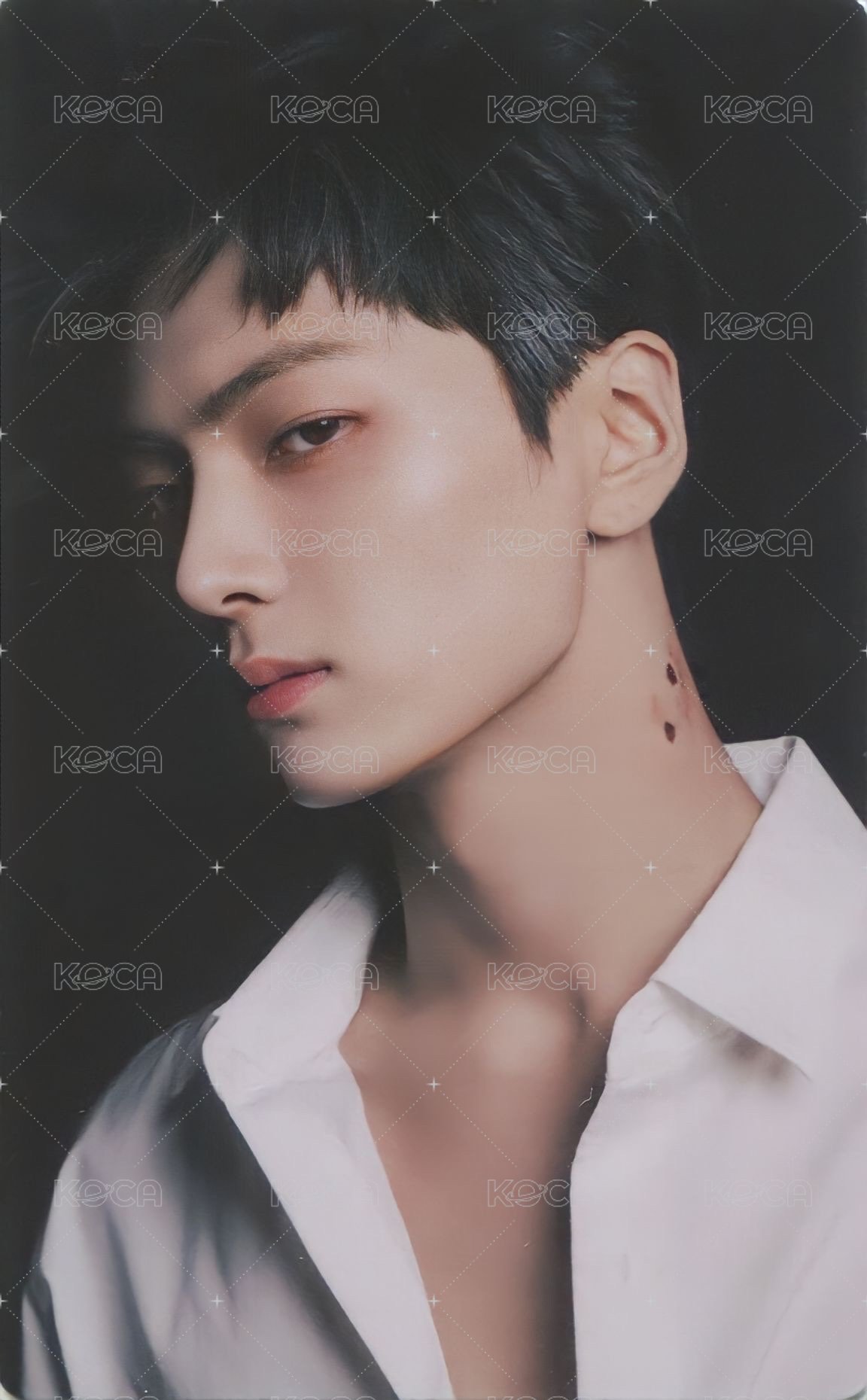 迷四 專輯卡 Engene版 正面