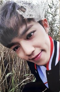 MINI3 專輯卡 ｜MAKE THE SEVENTEEN ver.