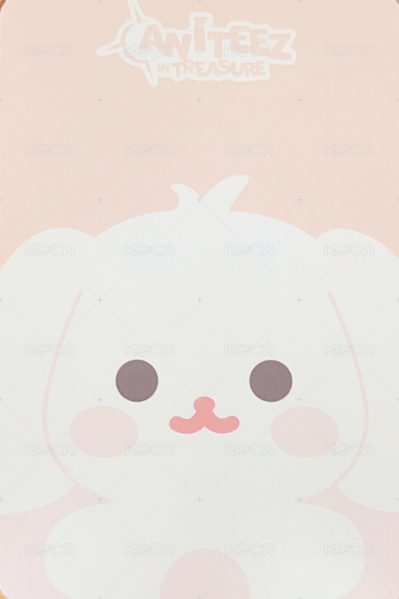 ANITEEZ IN TREASURE 周邊卡 豆豆眼娃卡 背面