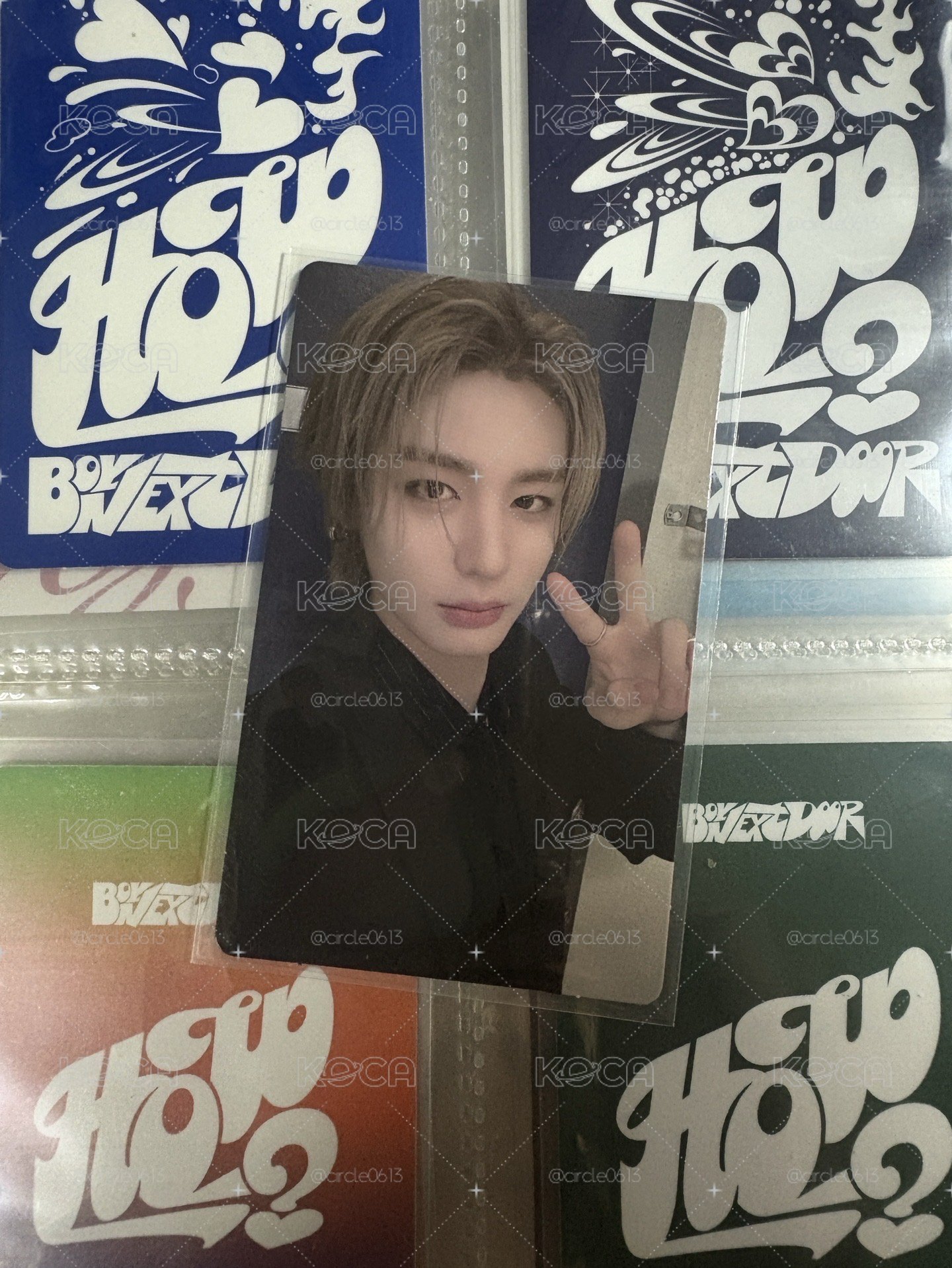 19.99 WVS LD
