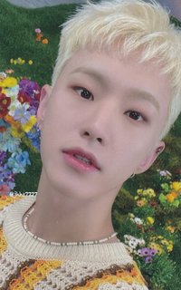 正四後續 日咖 特典卡 ｜WVSJP特典