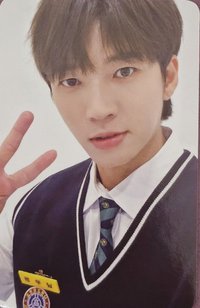 植木日5 隨機卡 