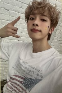 LIVE and FALL 專輯卡 