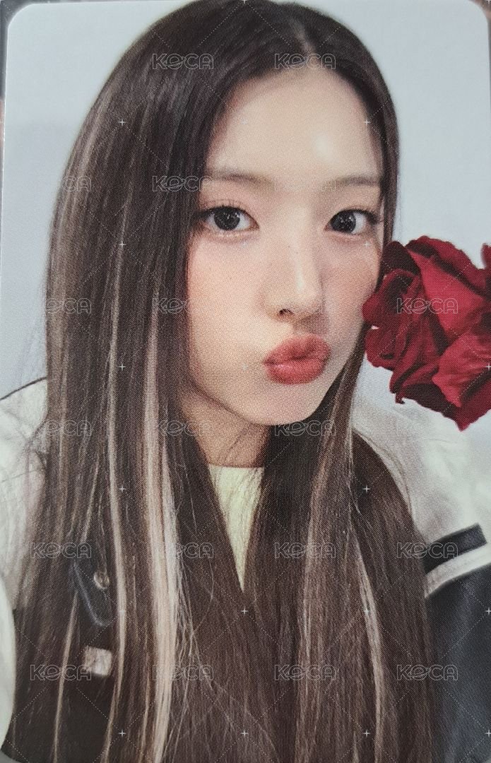 expérgo ms 6.0 簽售卡 玫瑰友 正面