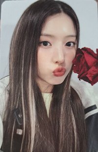 expérgo ms 6.0 簽售卡 玫瑰友