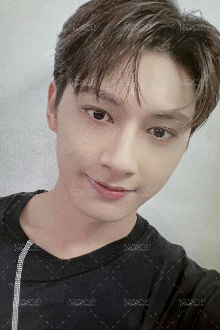 22‘克拉島 演唱會 DVD / CD 卡 22’克拉島回憶錄 綠ver. 正面