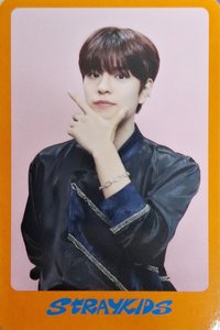 DICON D'FESTA 雜誌卡 