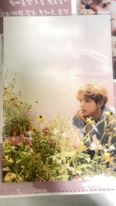 泰亨今日展生寫真+變換卡