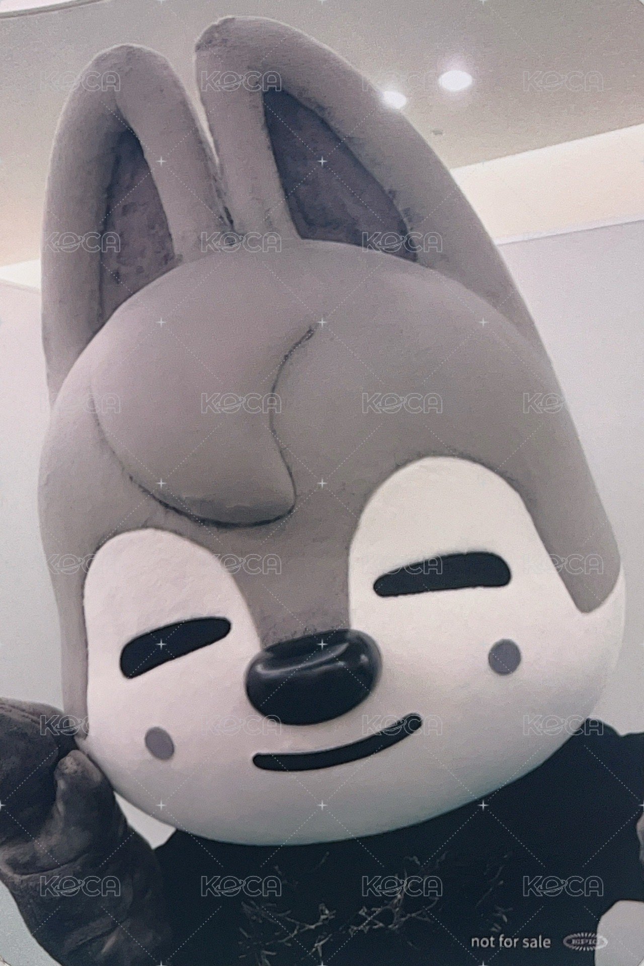 Hollow 塔店 特典卡 靜岡線上限定 背面