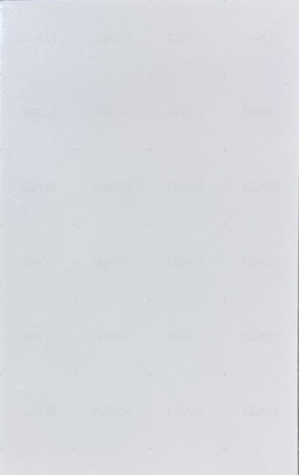 We are 泡泡摩奇 北京線下 入場卡 / 場限卡  背面