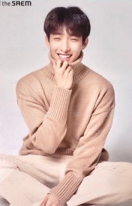 the SAEM 代言卡 雙面卡A 背面