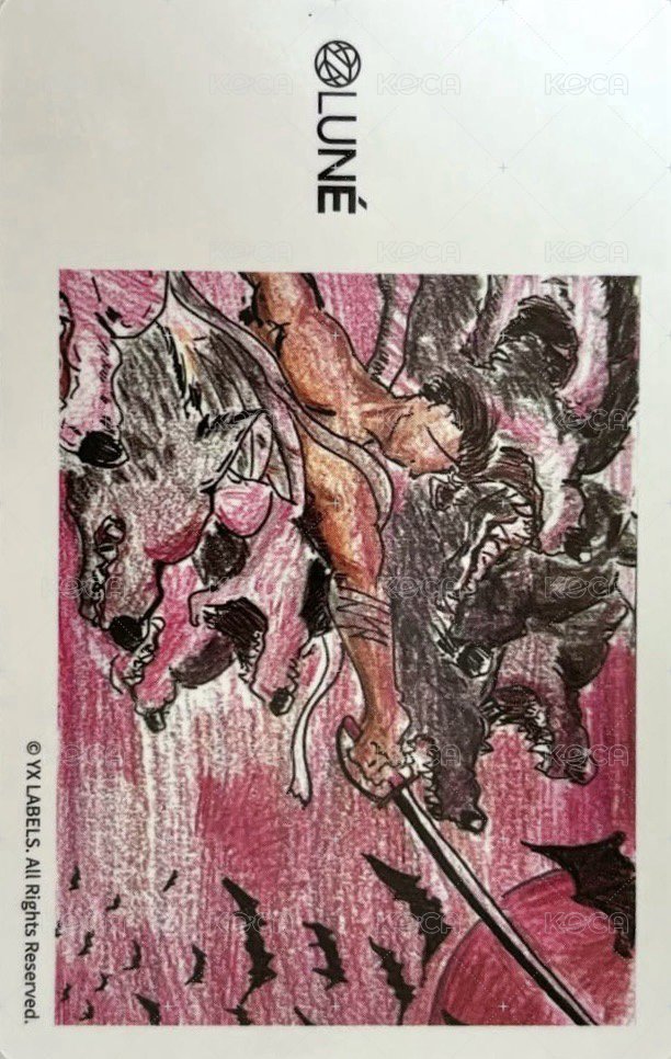 縁DAY 會員禮卡 3週年 zone卡 背面