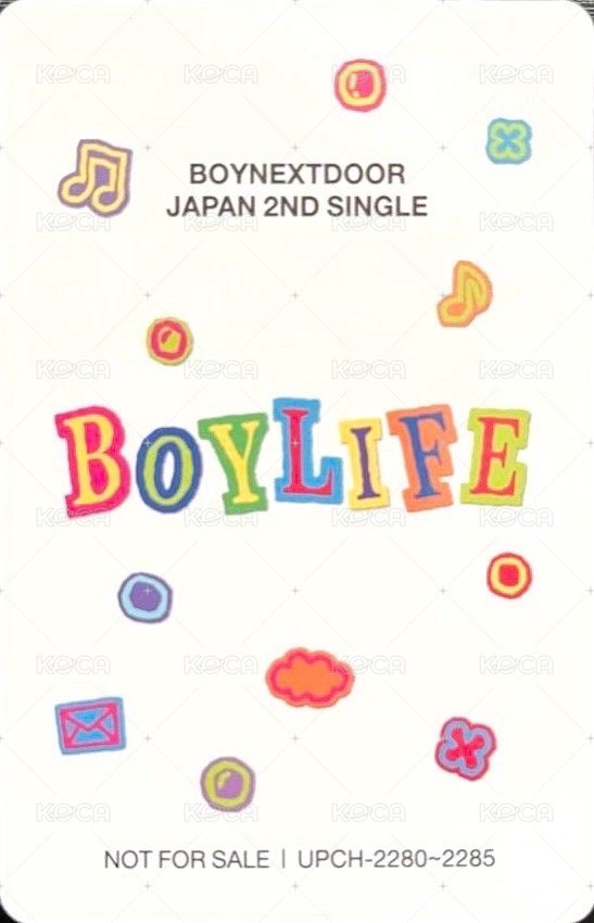 BOYLIFE 專輯卡 雙人卡 45 背面