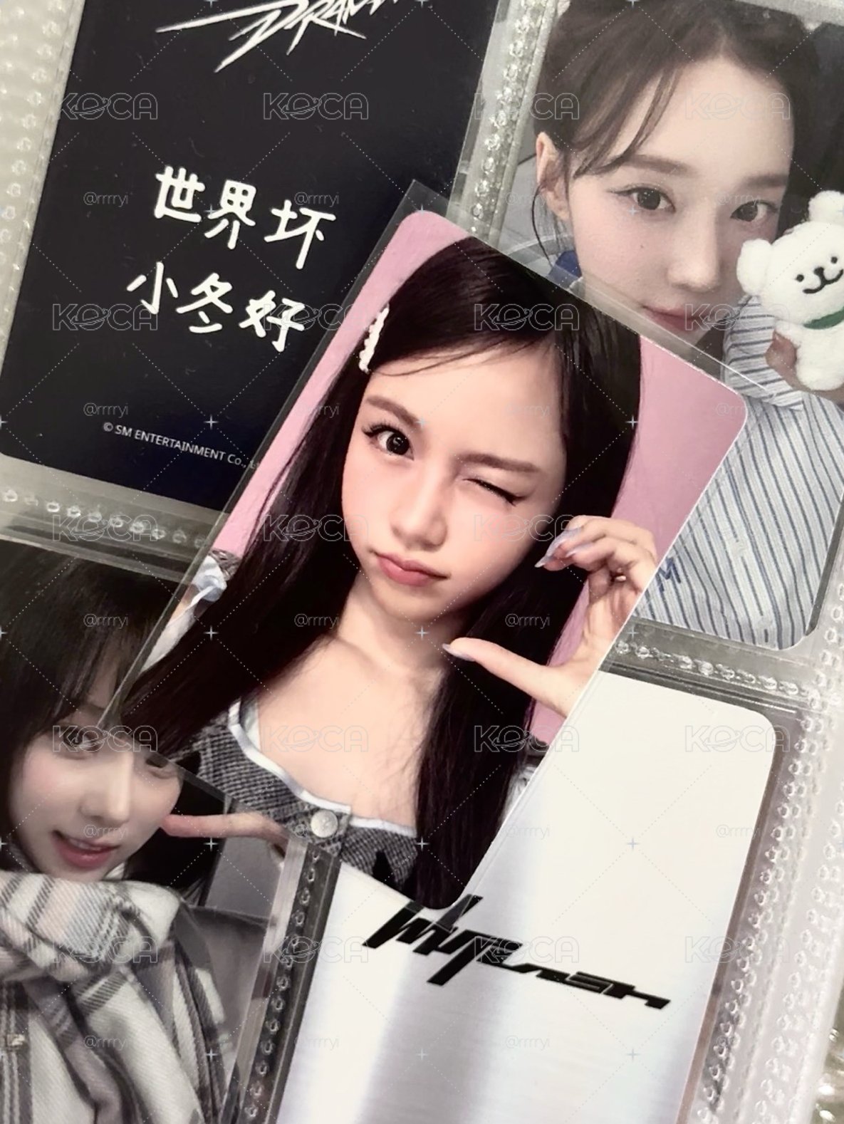 ☃️ Focus 迷你一 專卡Carmen