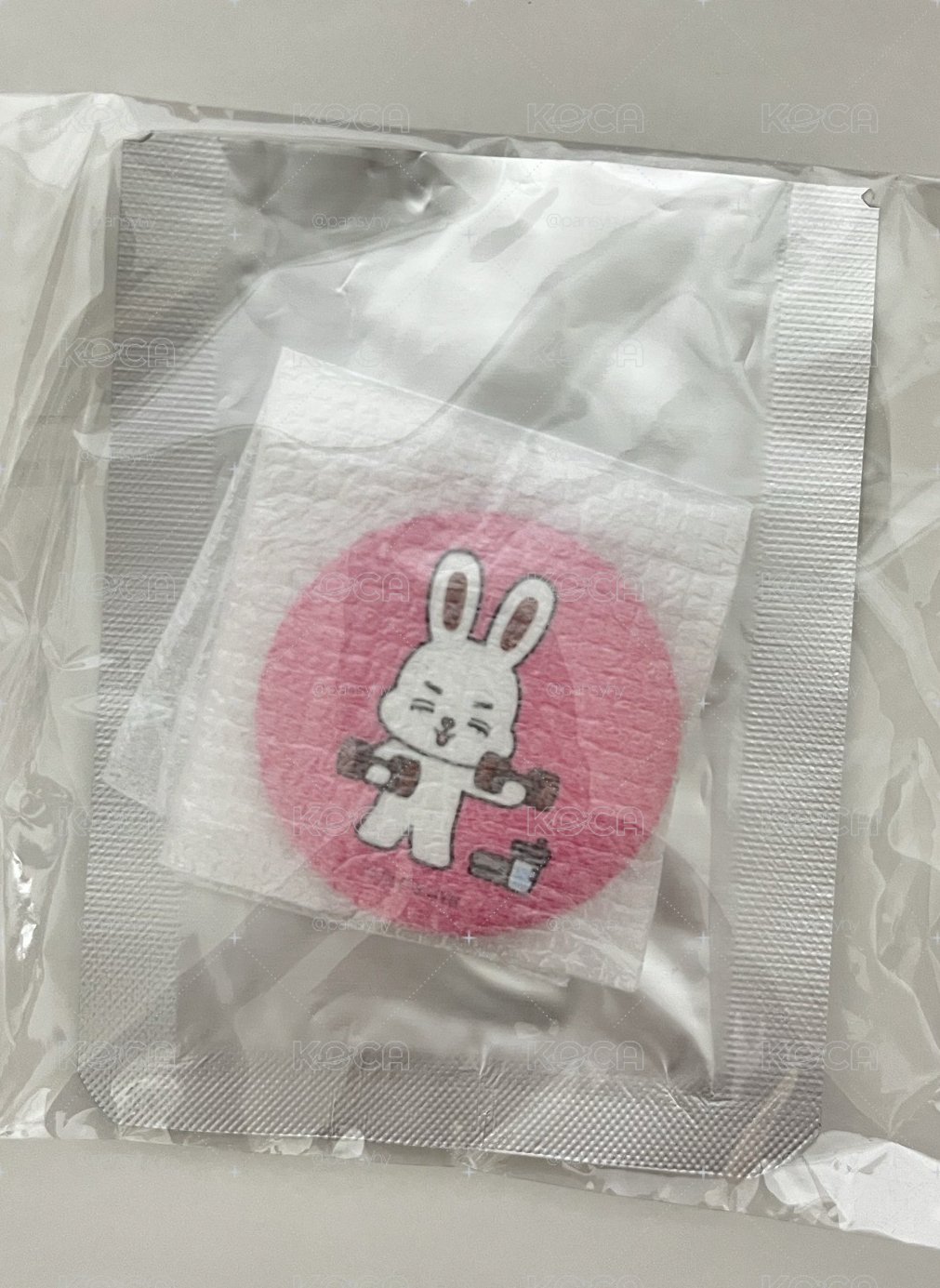 Miniteen 徽章 哲
