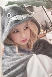 迷四 el 線上1.0 簽售卡 龍貓河