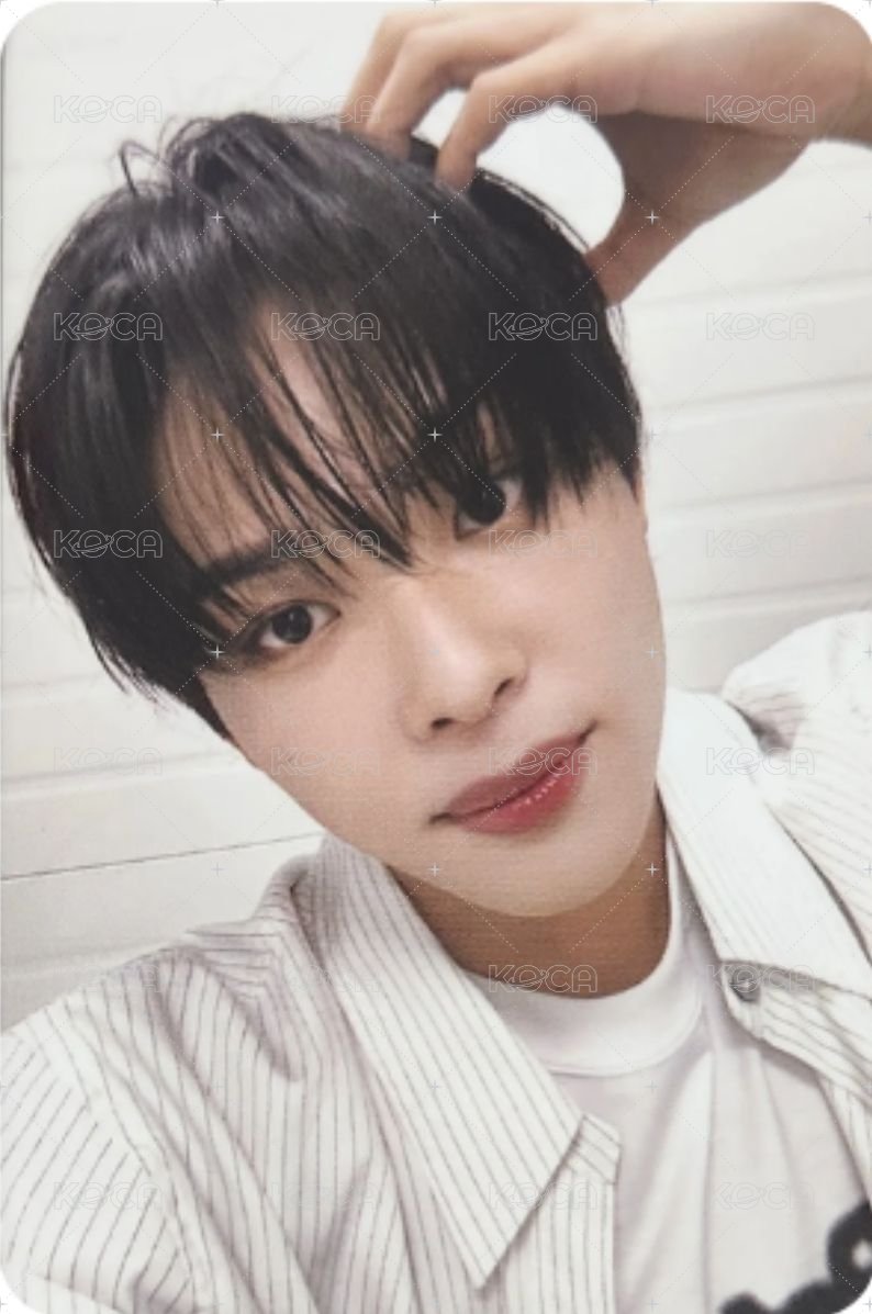 迷一 ms 預售 特典卡  正面