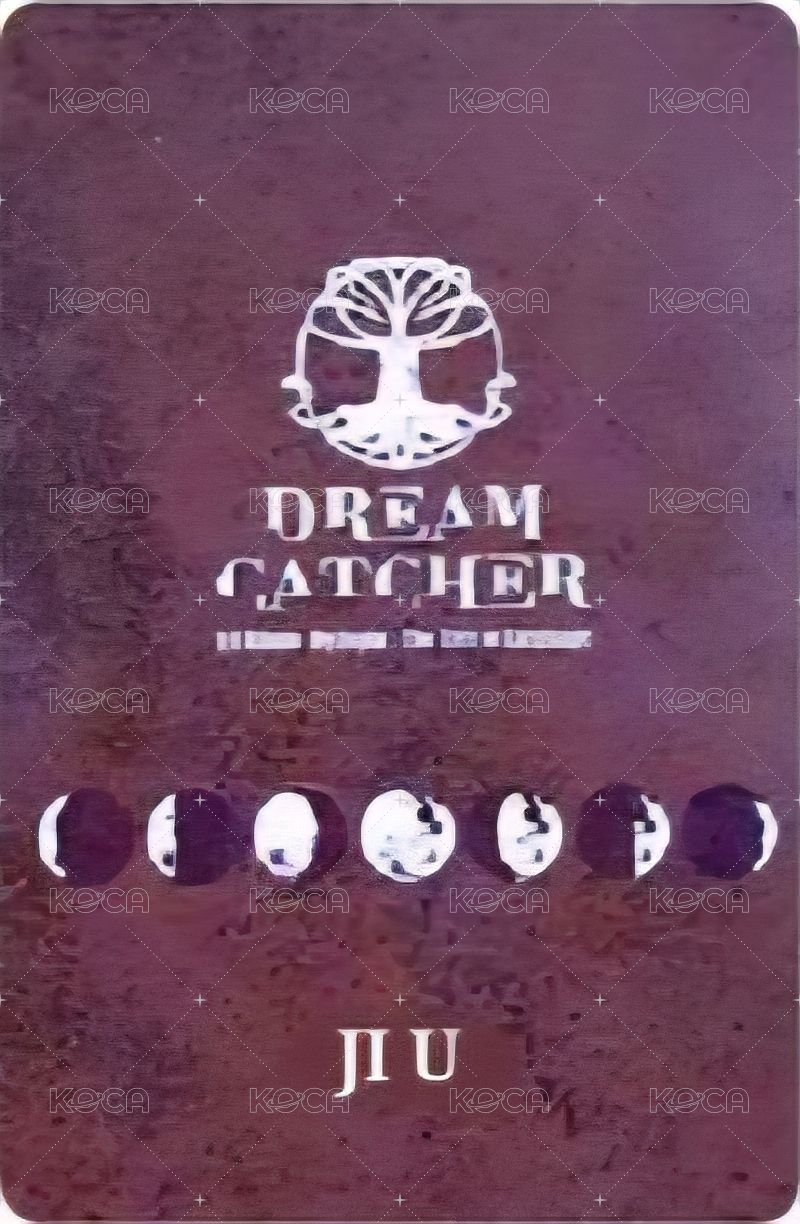 正規一輯 專輯卡  背面