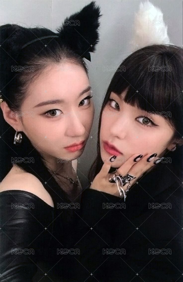 CHESHIRE 專輯卡 雙人卡 正面