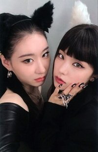 CHESHIRE 專輯卡 雙人卡