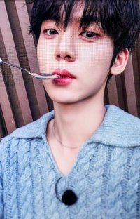 迷二 k4 特典卡 用餐禮儀 ver.