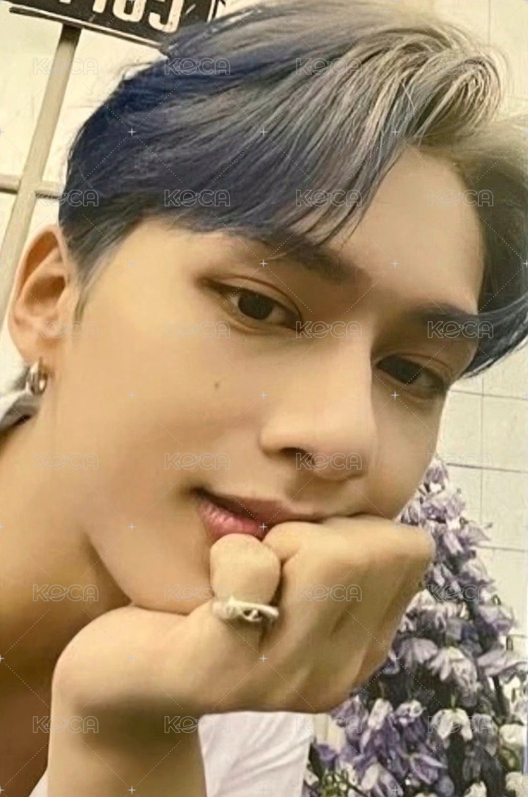 正四後續 蝦皮 簽售卡  正面