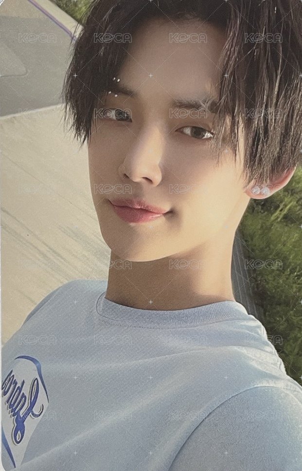 改版專 FOE 專輯卡 竣專卡 正面