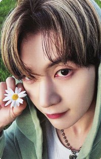 正規一 全通路 單封 特典卡 SPECIAL 預售