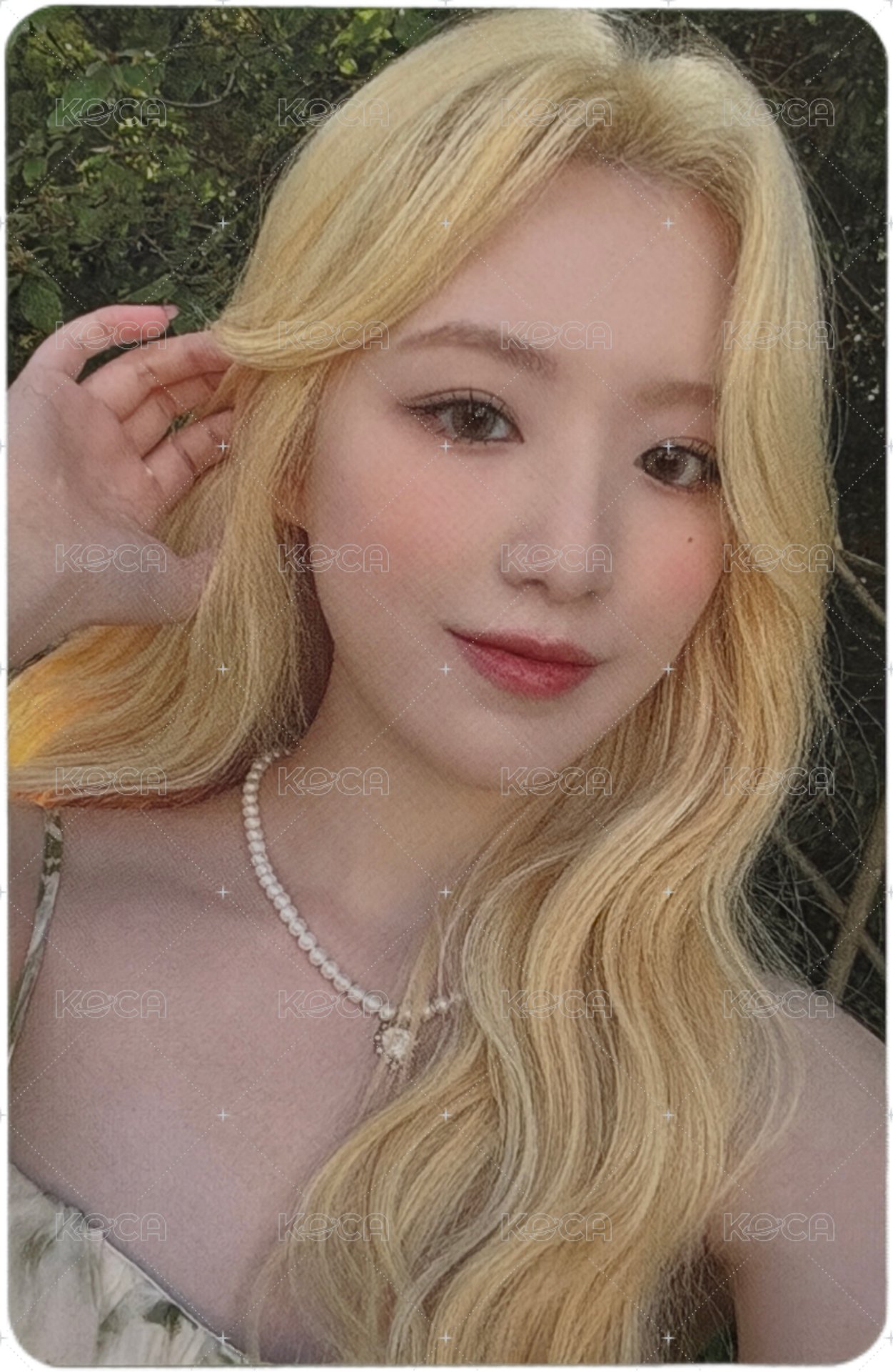 年曆卡 23年曆卡 正面