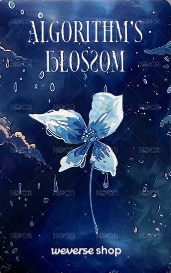 迷二 kkt 預購 特典卡 樂器 背面