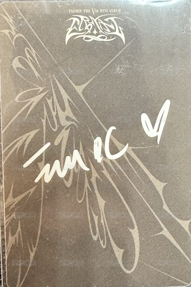 mini5 專輯卡  背面