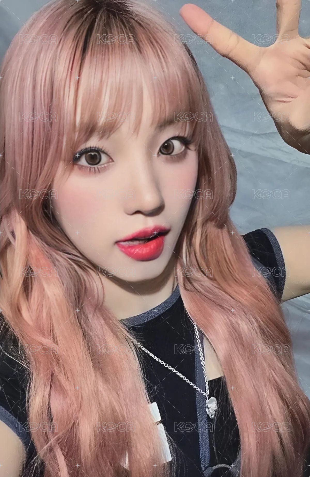 正規二 el 4.0 簽售卡  正面