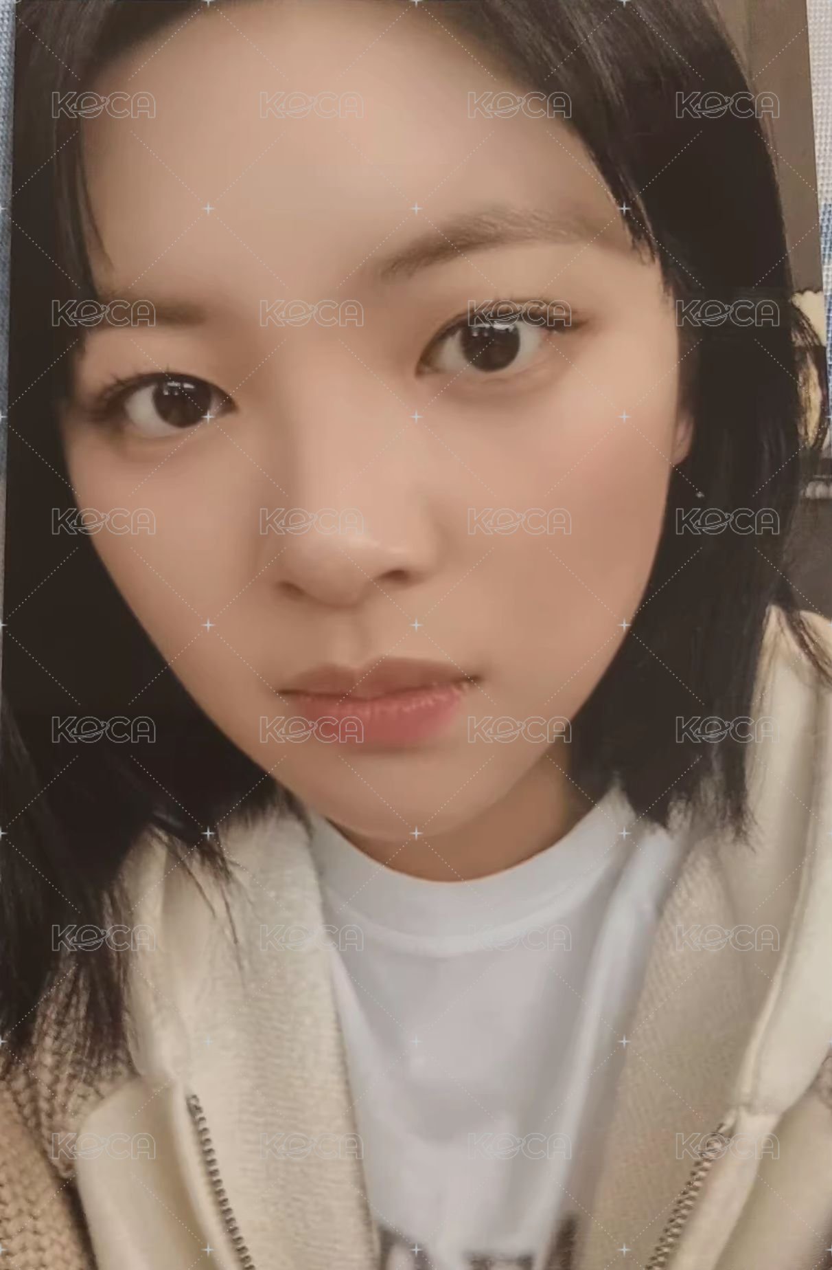 十週年電影 電影卡  正面