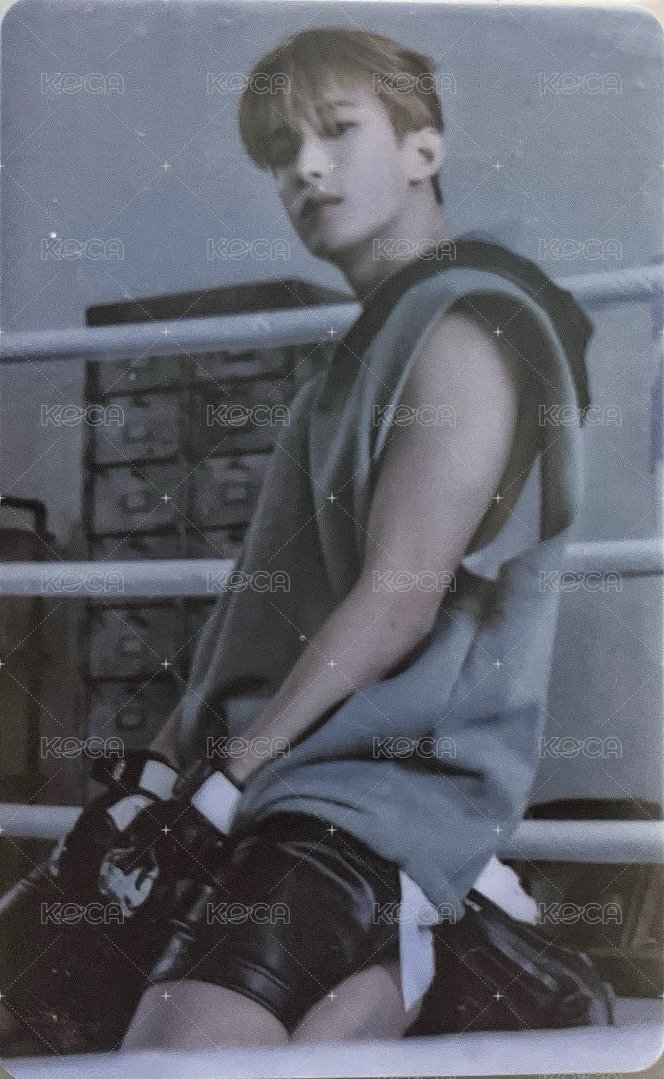 MINI10 專輯卡 ｜WVS電子專ver. 正面