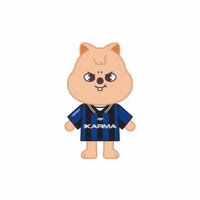 KARMA 娃娃玩偶 電子專 Skzoo ver.