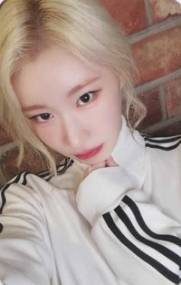 GOLD ms 5.0 簽售卡 運動服